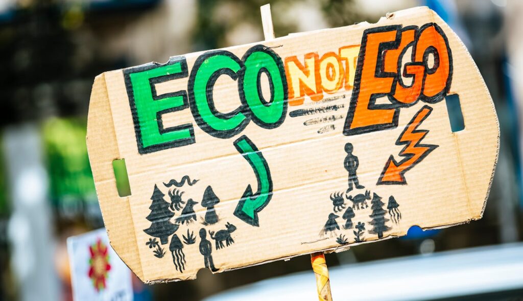 CLIMATE CHANGE ACTIVISM